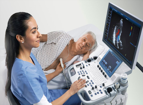 Echo Cardiography